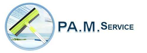 logo pam