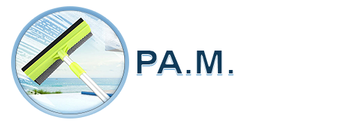 logo pam2